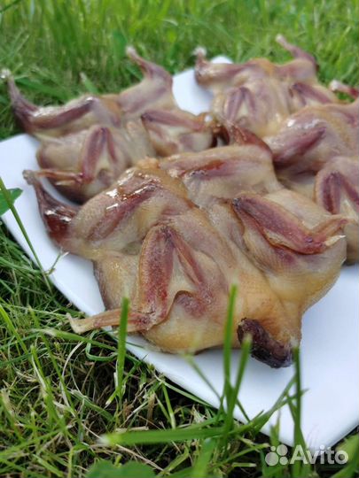 Вяленые домашние перепёлки