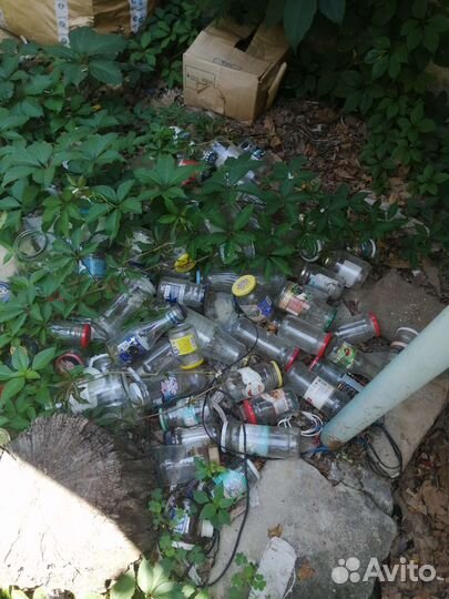 Банки разные