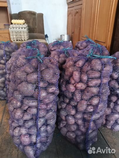Продам картофель