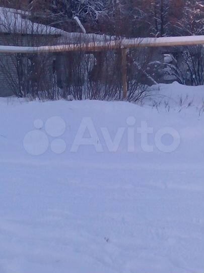 Участок 54 сот. (ИЖС)