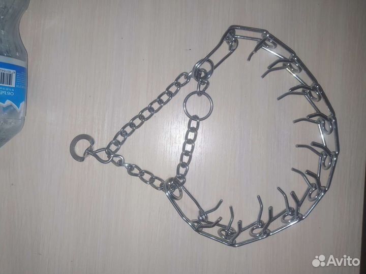 Строгий ошейник