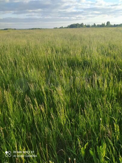 Участок 24,5 сот. (СНТ, ДНП)