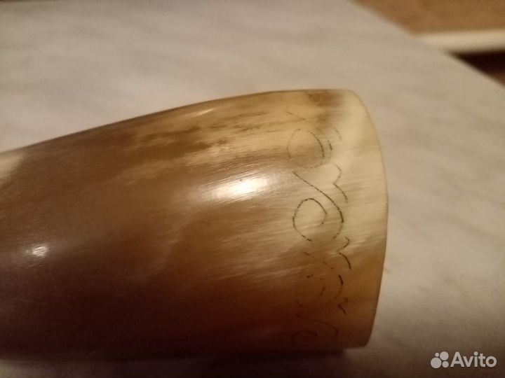 Костяной рог