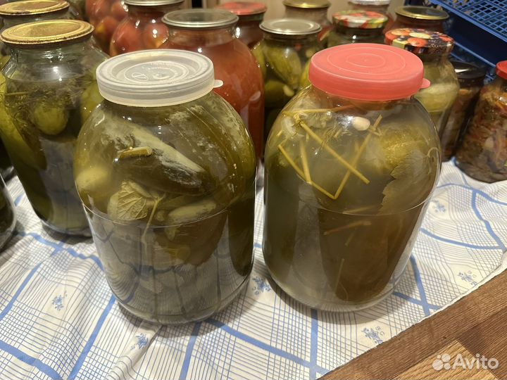 Сленые огурцы