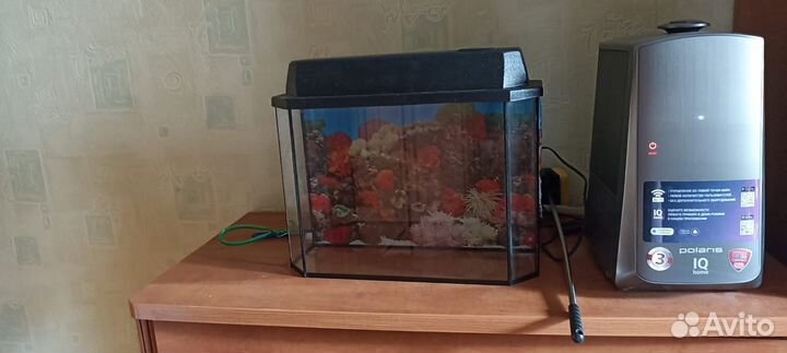 Аквариум