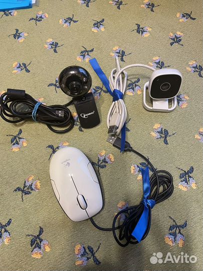 Веб-камеры и компьютерная мышь