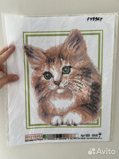 Канва с рисунком для вышивания