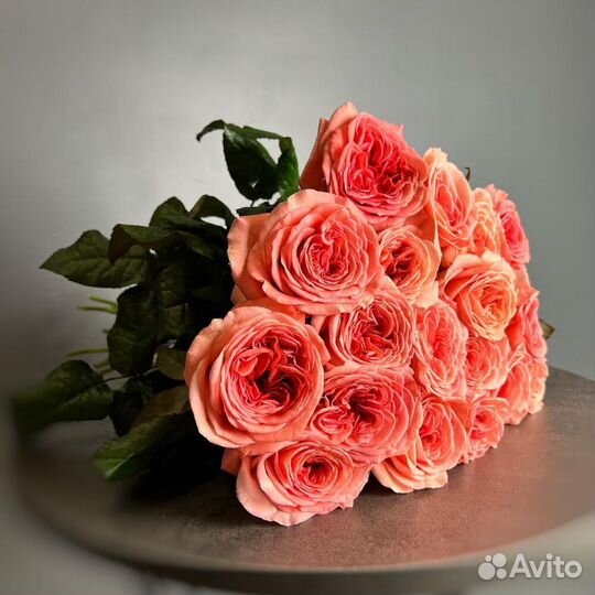 Цветы Розы Букет 25 35 51 101 роза Эквадор