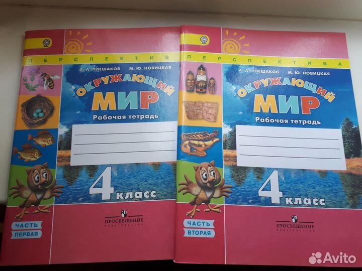 Рабочая тетрадь по окружающему миру