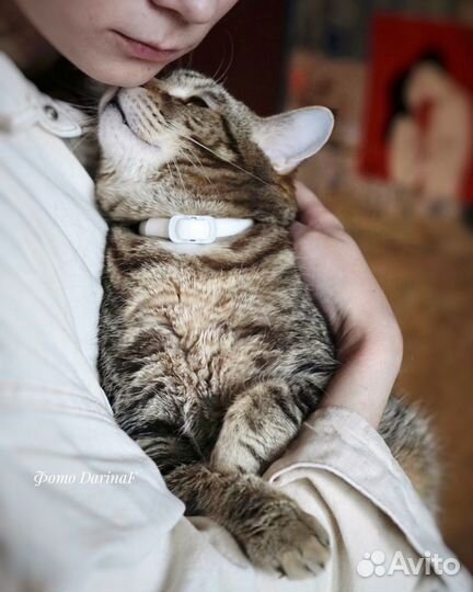 Пуфель сладкий пирожок