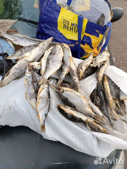 Вяленая рыба