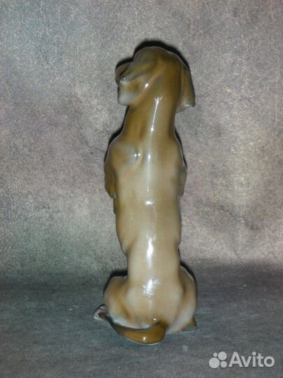 Такса на задних лапах