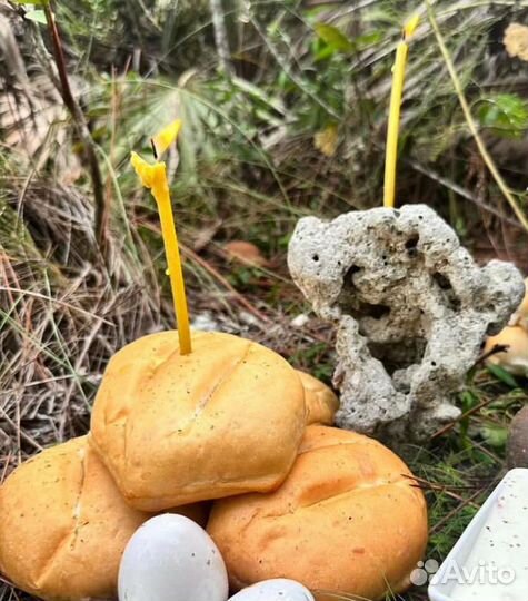 Приворот, гадание, снятие порчи, обучение