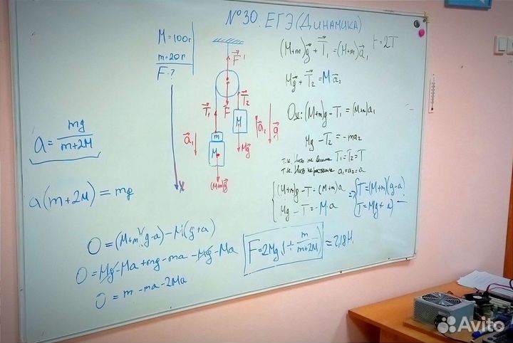 Репетитор онлайн физика информатика огэ, егэ