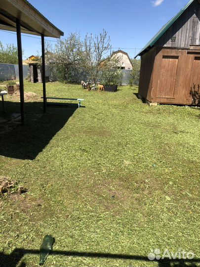 Косьба травы