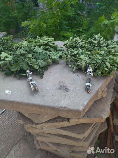 Дубовые веники для бани