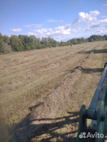 Луговое сено