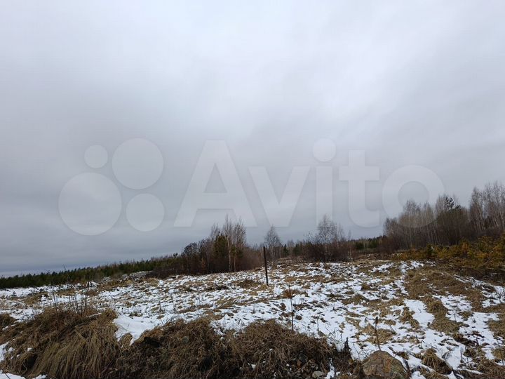 Участок 10,1 сот. (СНТ, ДНП)