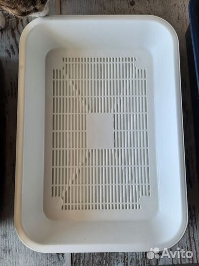 Лоток для кошек бу