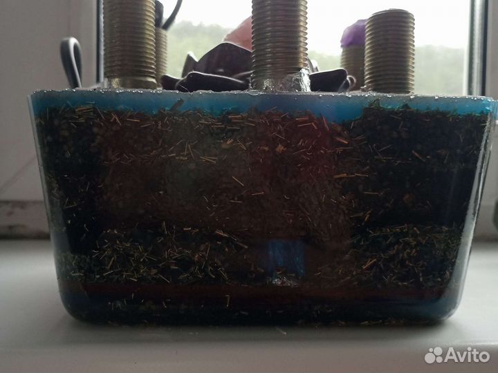 Клоудбастер