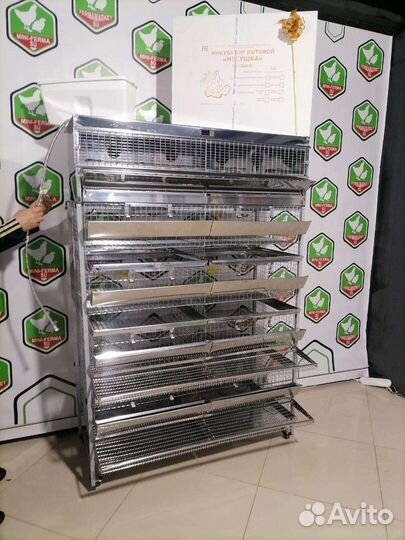 Мини Ферма для перепелов