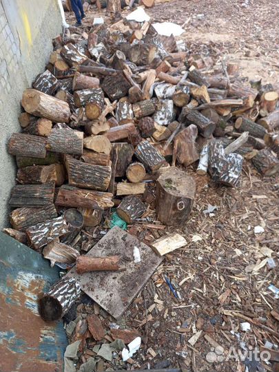Дрова некондиция дуб, берёза, сосна, вяз. Доставка