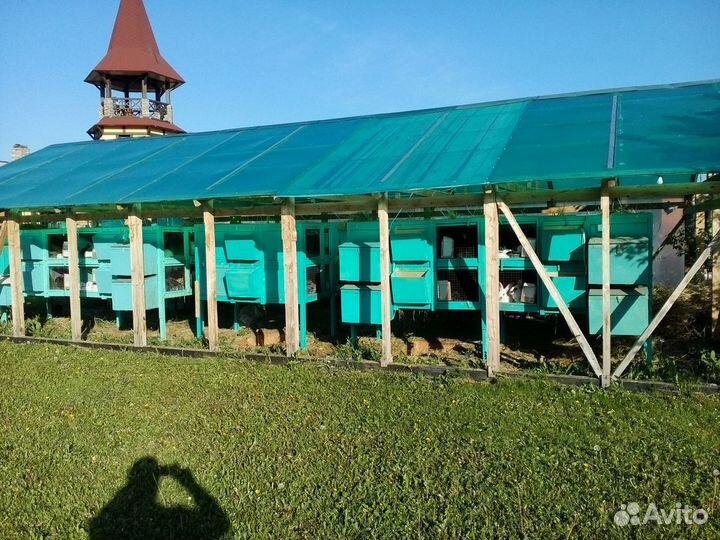 Клетки для кроликов