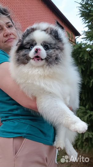 Мальчик красавчик