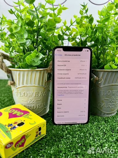 iPhone Xs, 256 ГБ