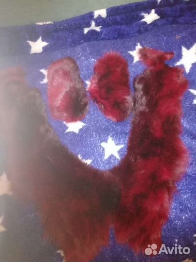 Воротники, манжеты, песец