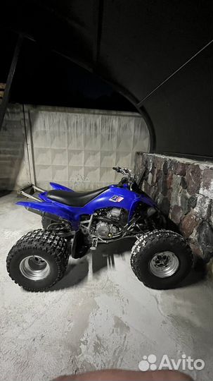 Yamaha-YFM250R raptor