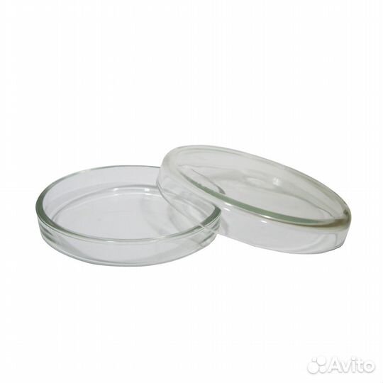 Чашка Петри (20*100) стекло в Екатеринбруге