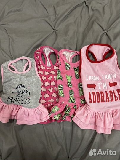 Одежда для собак