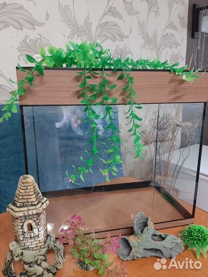 Аквариум, аксессуары