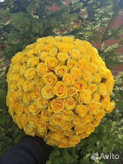 Лимонные розы. Букет из Жёлтых роз