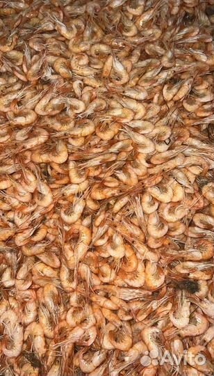 Креветка свежемороженная