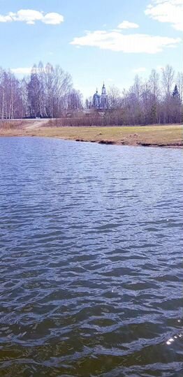 Дом 26,6 м² на участке 15,6 сот.