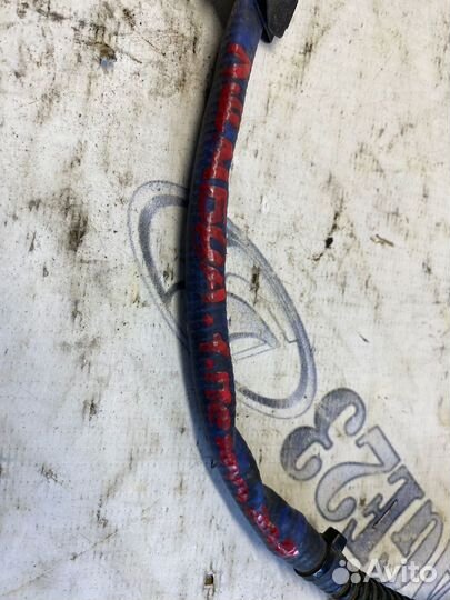 Лямбда Peugeot 307