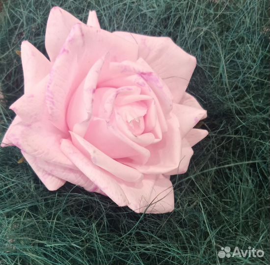 Украшение на платье цветок