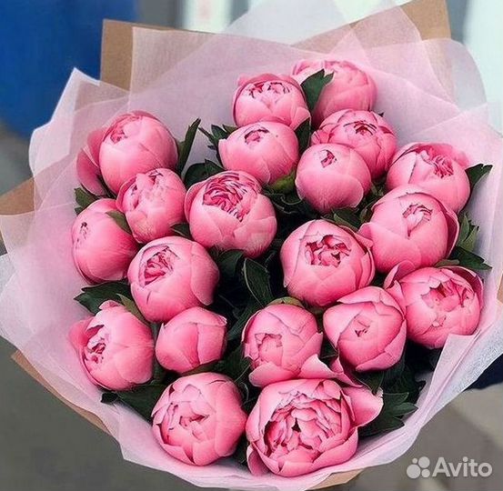 Пионы Цветы Доставка