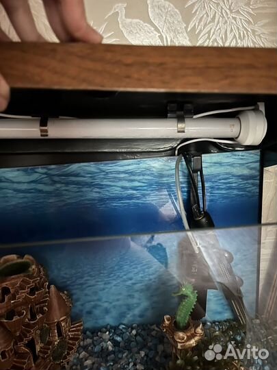 Аквариум с оборудованием