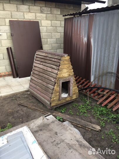 Собачья будка