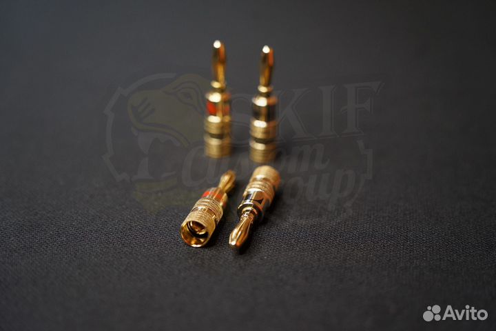 Терминал Nakamichi gold 24K 