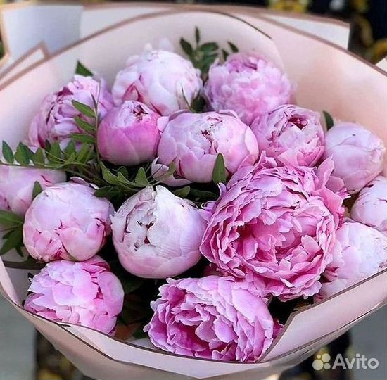 Пионы Розы Доставка