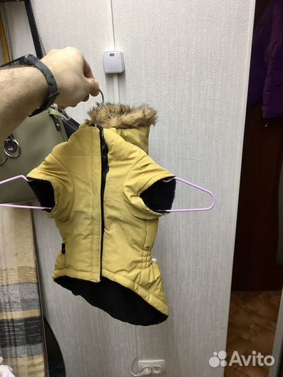 Курточки для собачки