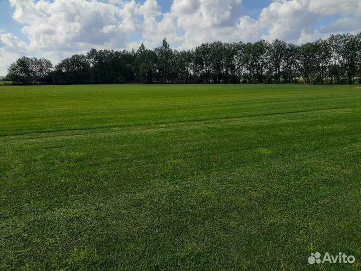 Укладка рулонного газона