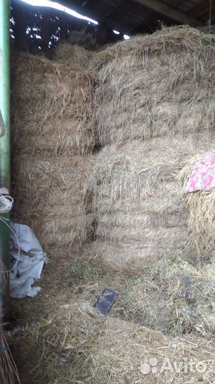 Сено в рулонах. Люцерна.Разнотравье