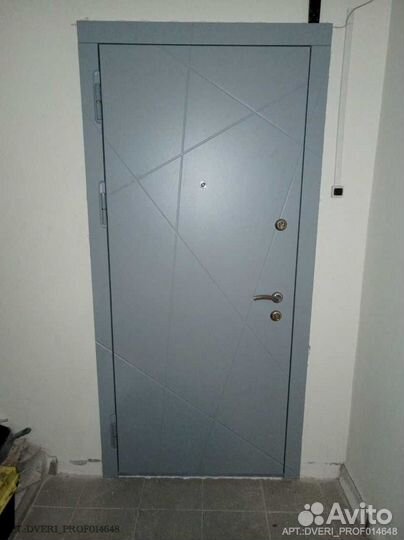 Двери с биометрическим замком DV-9141