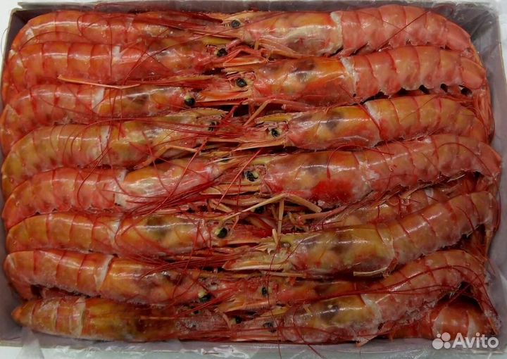 Лангустины креветки