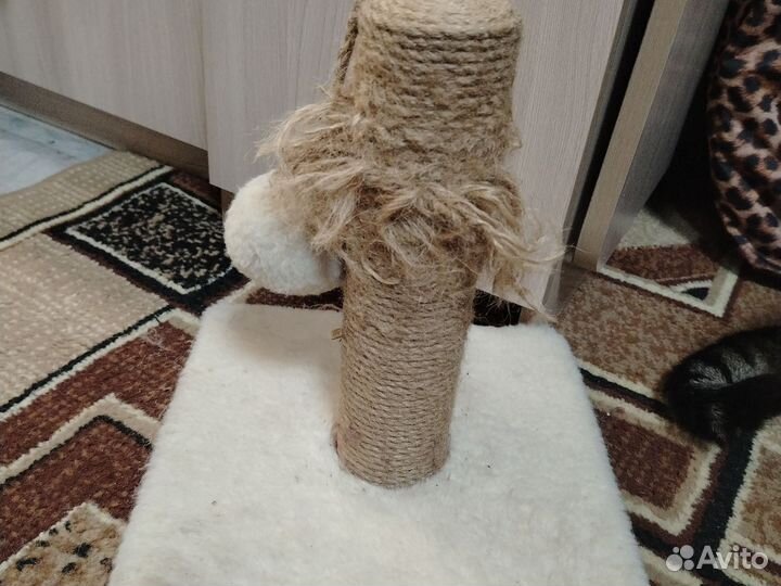 Когтеточка